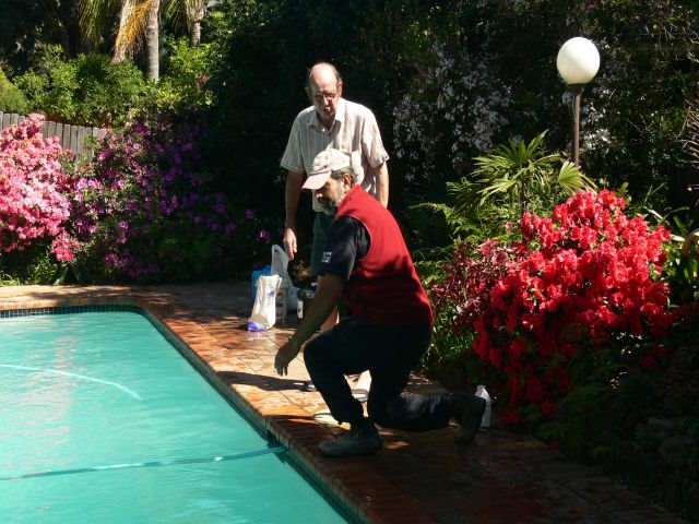 swimming pool repair